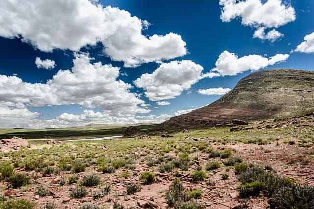 Things You Should Know Before Your Plan Your Next Trip