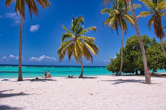 Don't Miss These Travel Tips Before You Set Out On Your Next Journey!